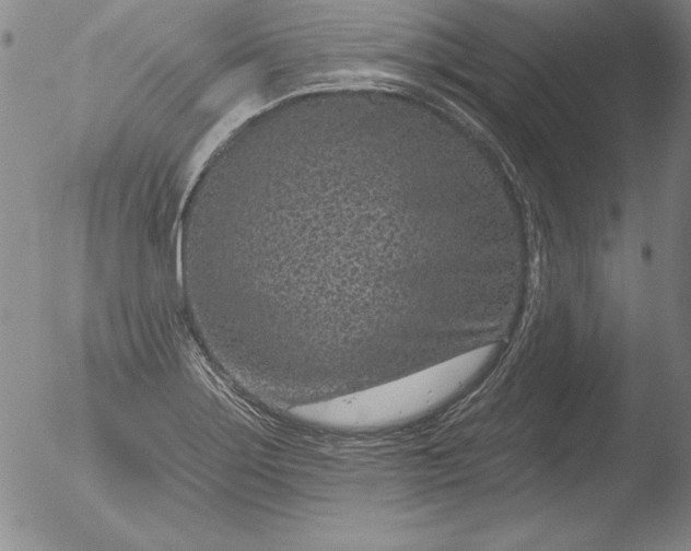 X0000051861275200507081813