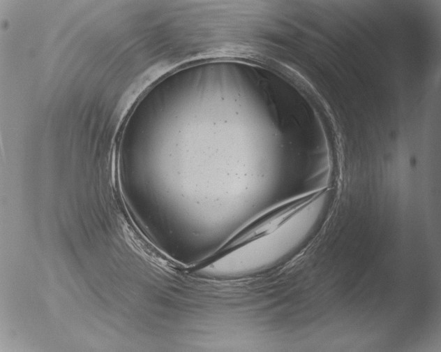 X0000051861276200507081813