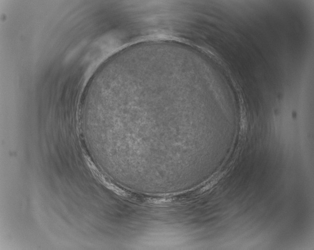 X0000051861278200507081813