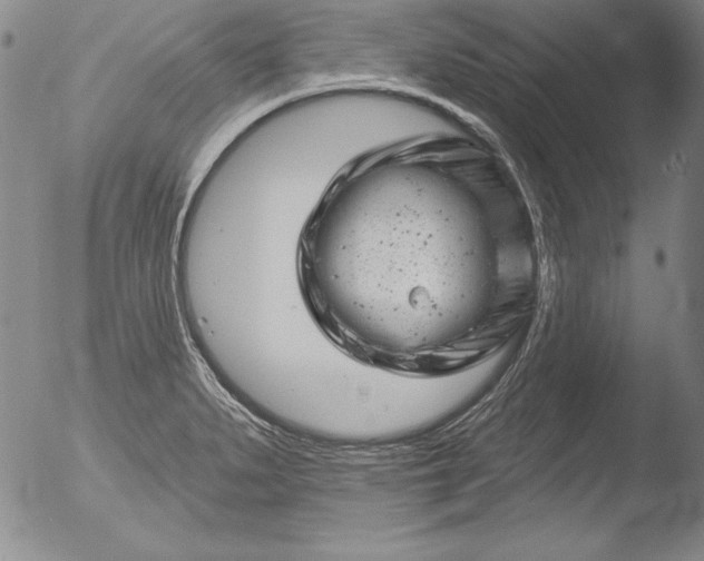 X0000051861279200507081813