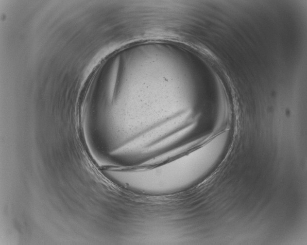 X0000051861280200507081813