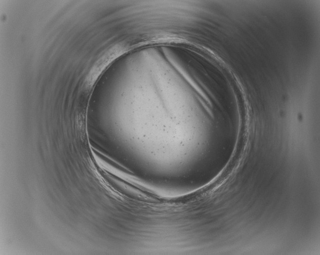 X0000051861281200507081813