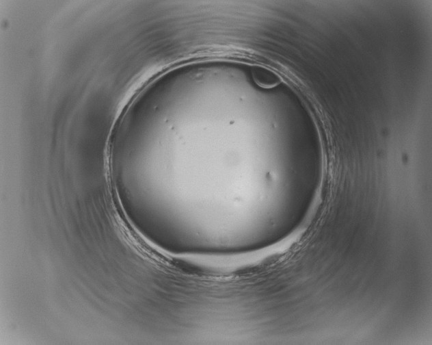 X0000051861283200507081813