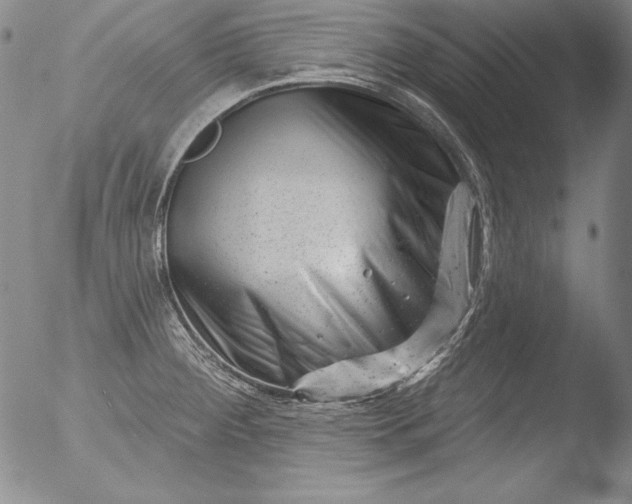 X0000051861284200507081813