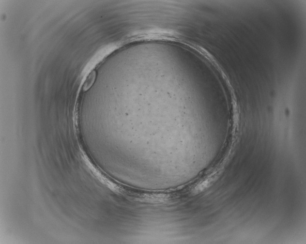 X0000051861285200507081813