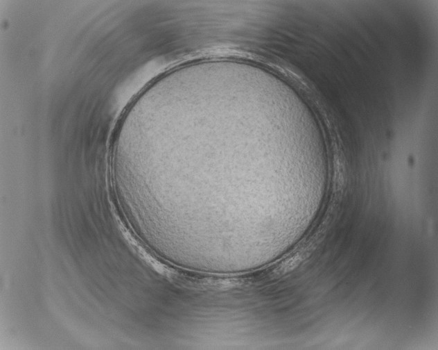 X0000051861286200507081813