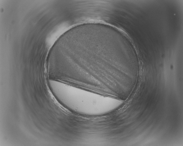 X0000051861287200507081813