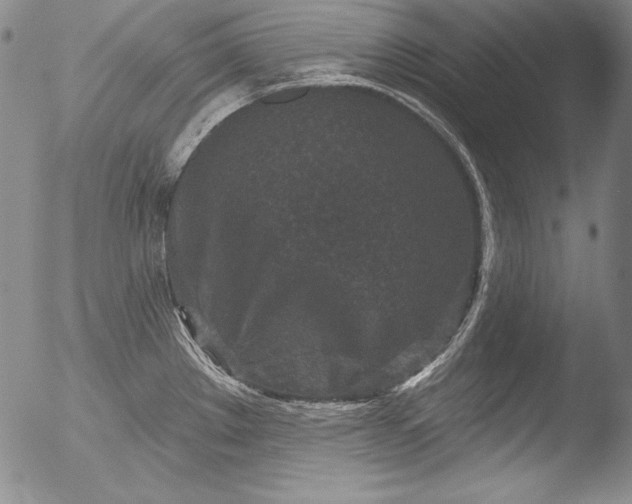 X0000051861289200507081813