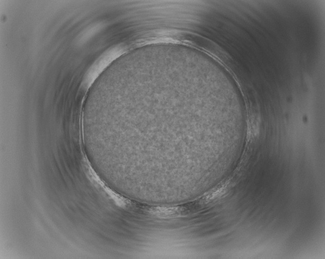 X0000051861290200507081813