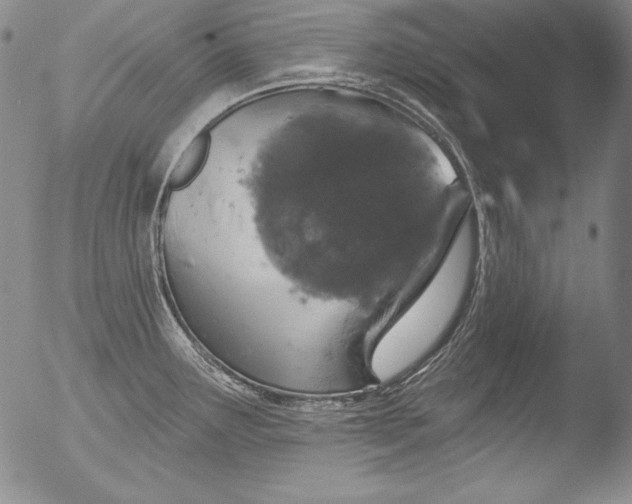 X0000051861291200507081813