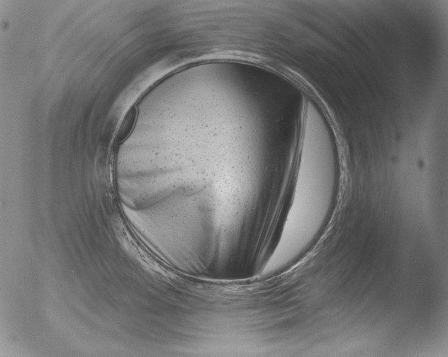 X0000051861292200507081813