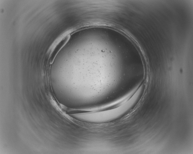 X0000051861293200507081813