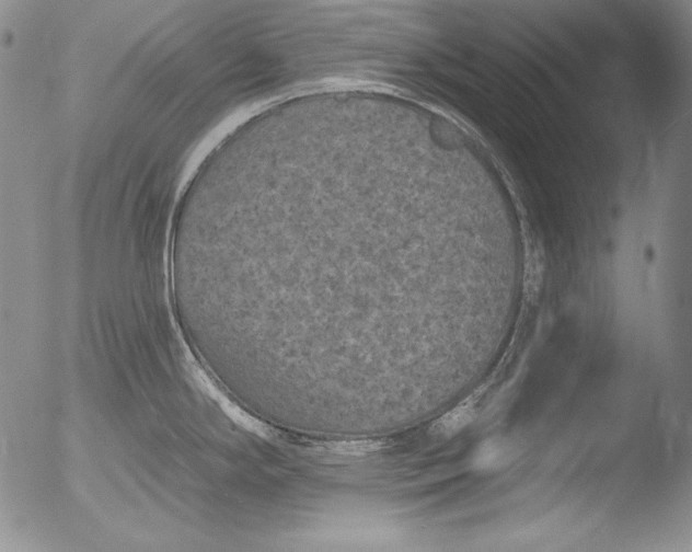 X0000051861294200507081813