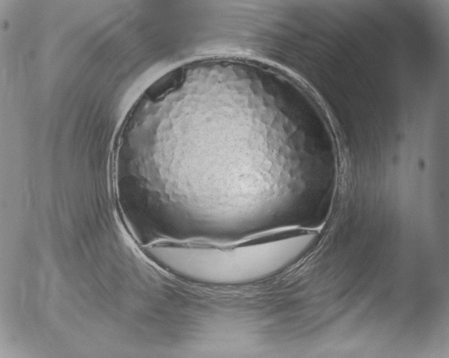 X0000051861295200507081813