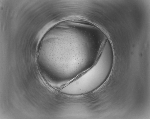 X0000051861296200507081813