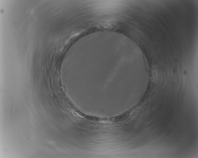 X0000051861297200507081812