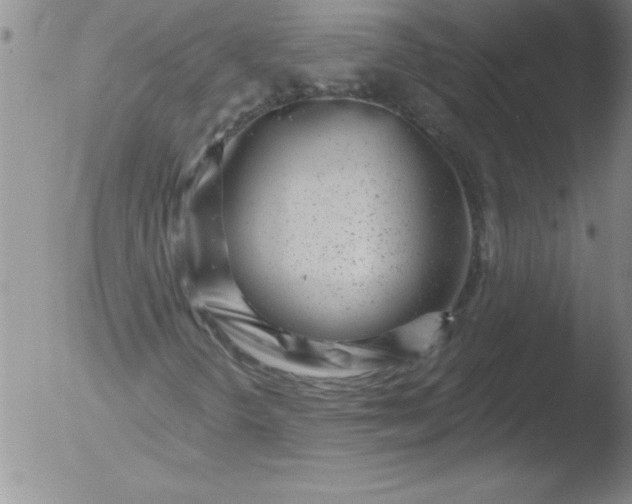 X0000051861298200507081812