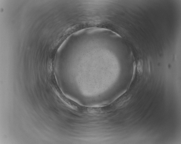 X0000051861299200507081812