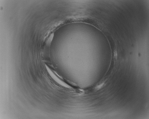 X0000051861300200507081812