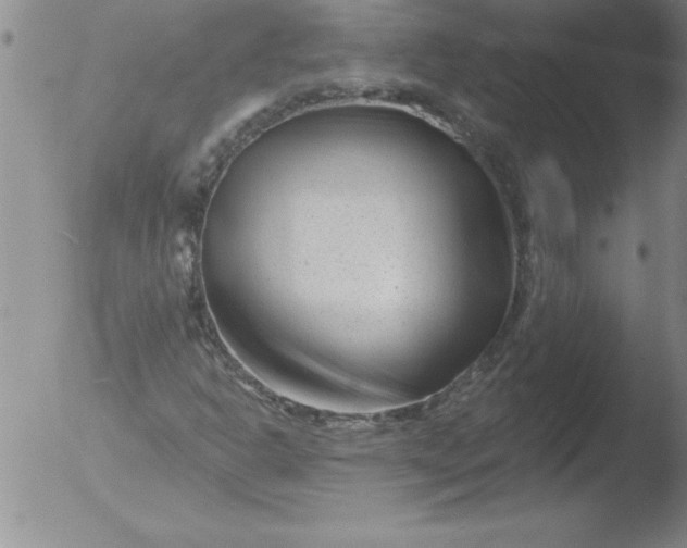 X0000051861302200507081812