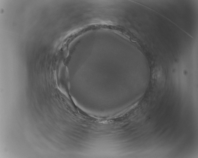 X0000051861303200507081812