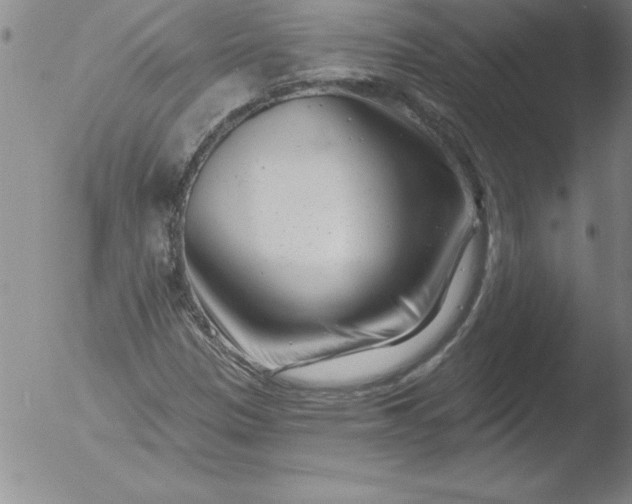 X0000051861305200507081812