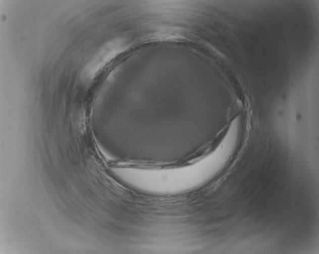 X0000051861306200507081812