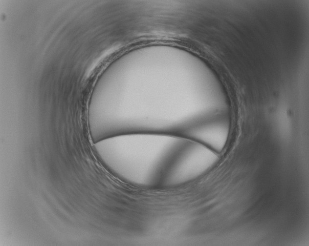 X0000051861307200507081812