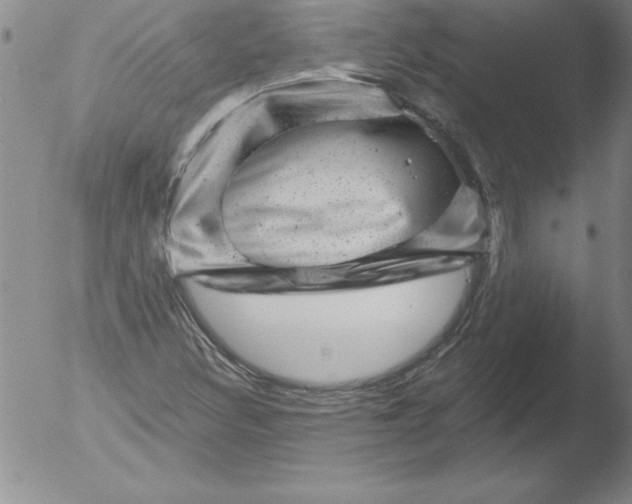 X0000051861308200507081812