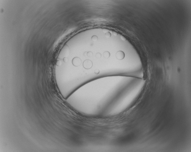 X0000051861309200507081812