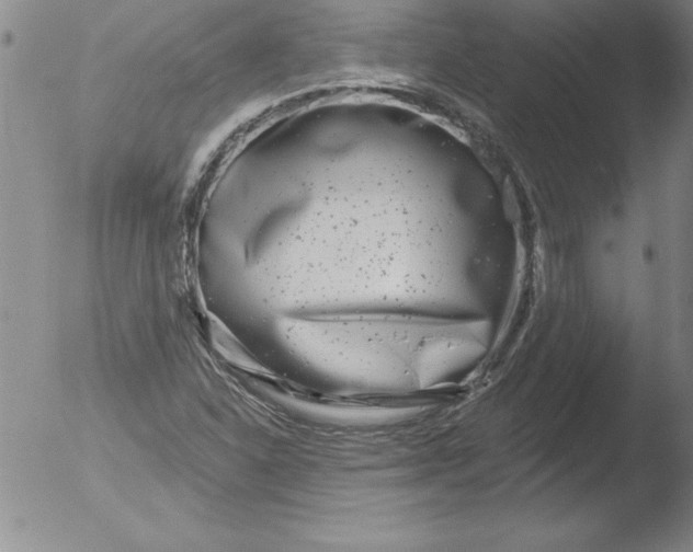 X0000051861310200507081812