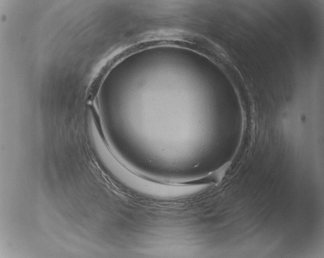 X0000051861312200507081812