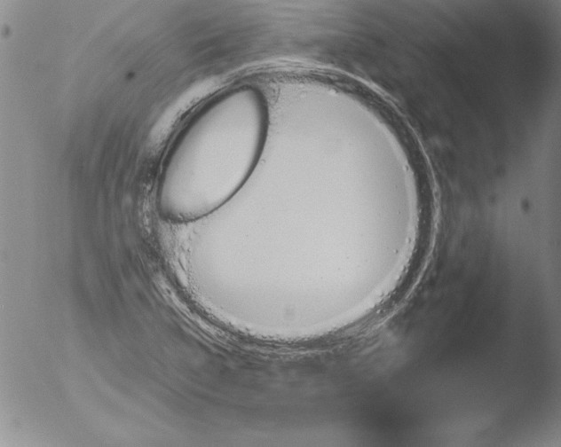 X0000051861314200507081812