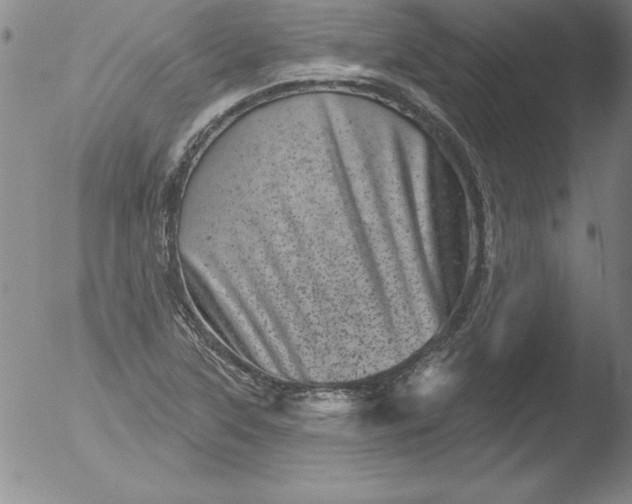 X0000051861315200507081812
