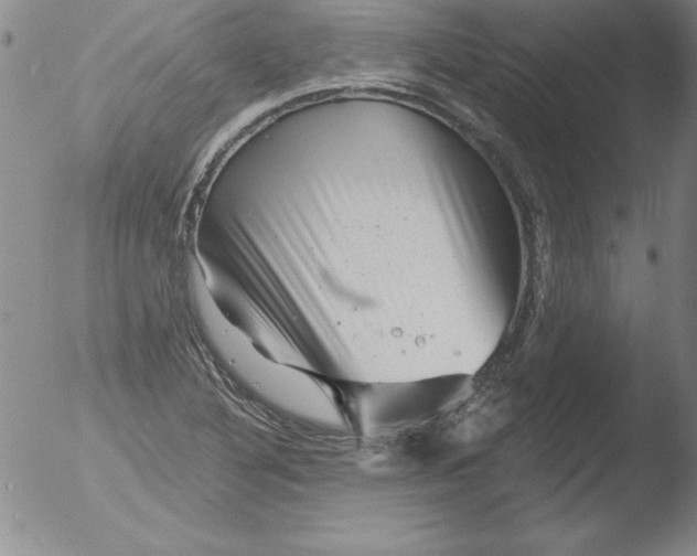 X0000051861316200507081812