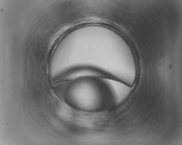 X0000051861318200507081812