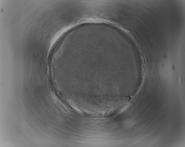 X0000051861319200507081812