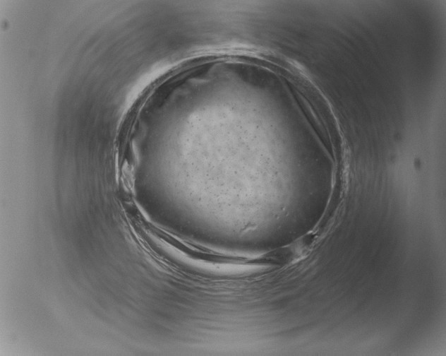 X0000051861320200507081812