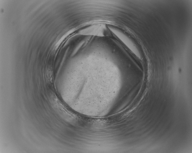 X0000051861321200507081812