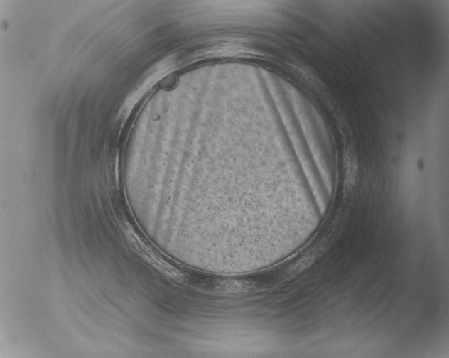 X0000051861322200507081812