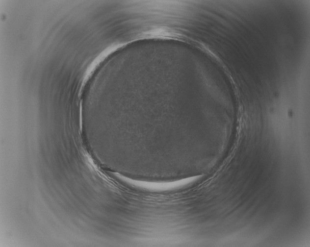 X0000051861323200507081812