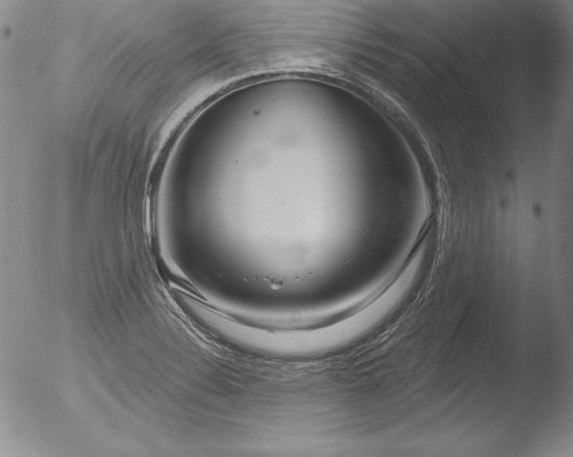 X0000051861324200507081812