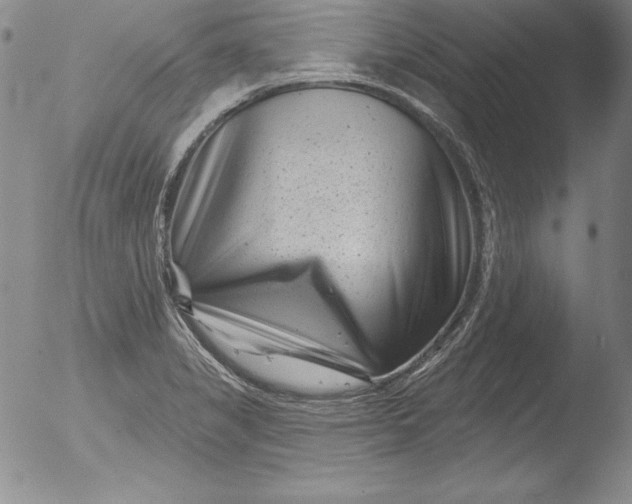 X0000051861325200507081813