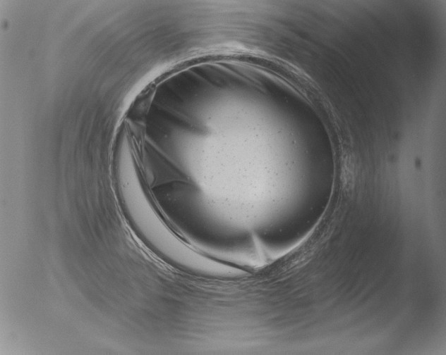 X0000051861326200507081813