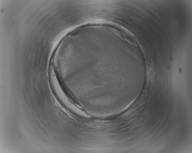 X0000051861327200507081813