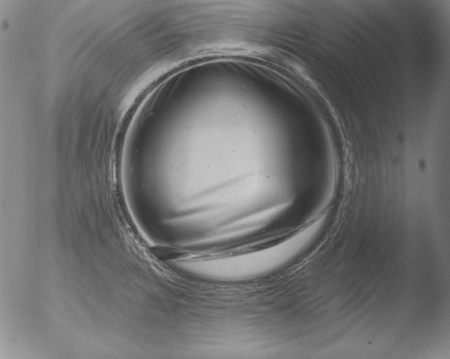 X0000051861328200507081813