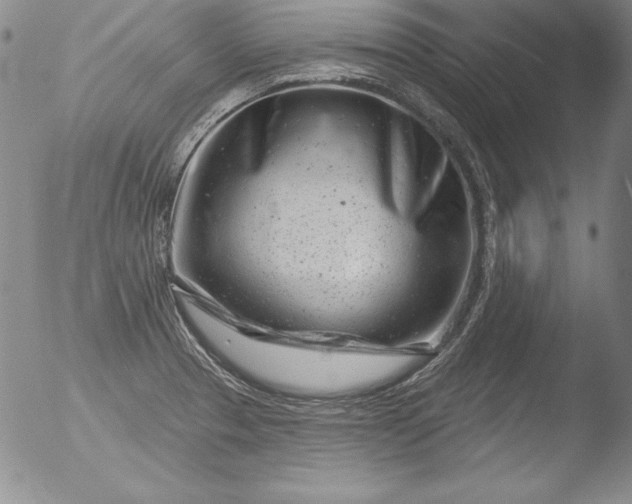 X0000051861329200507081813