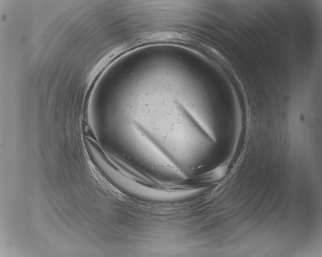 X0000051861330200507081813