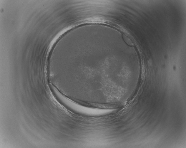 X0000051861331200507081813