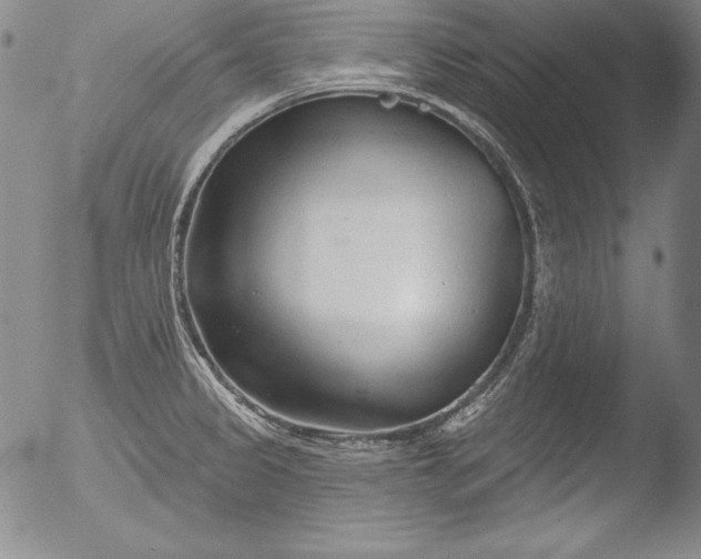 X0000051861333200507081813